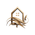 Gemini_Generated_Image_v5owj3v5owj3v5ow-removebg-preview